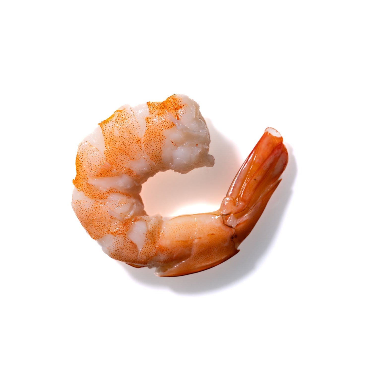 Shrimp No. 162