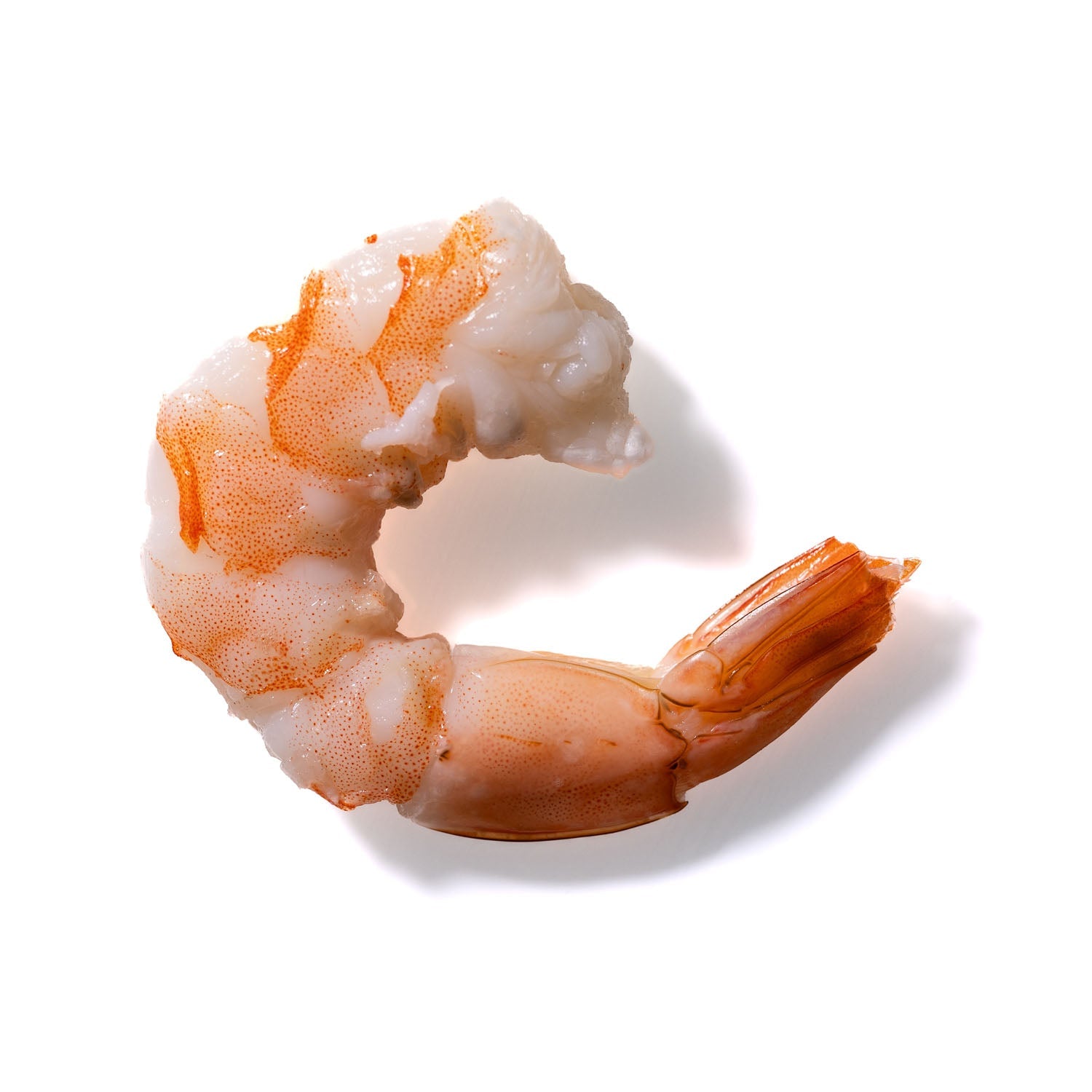 Shrimp No. 163