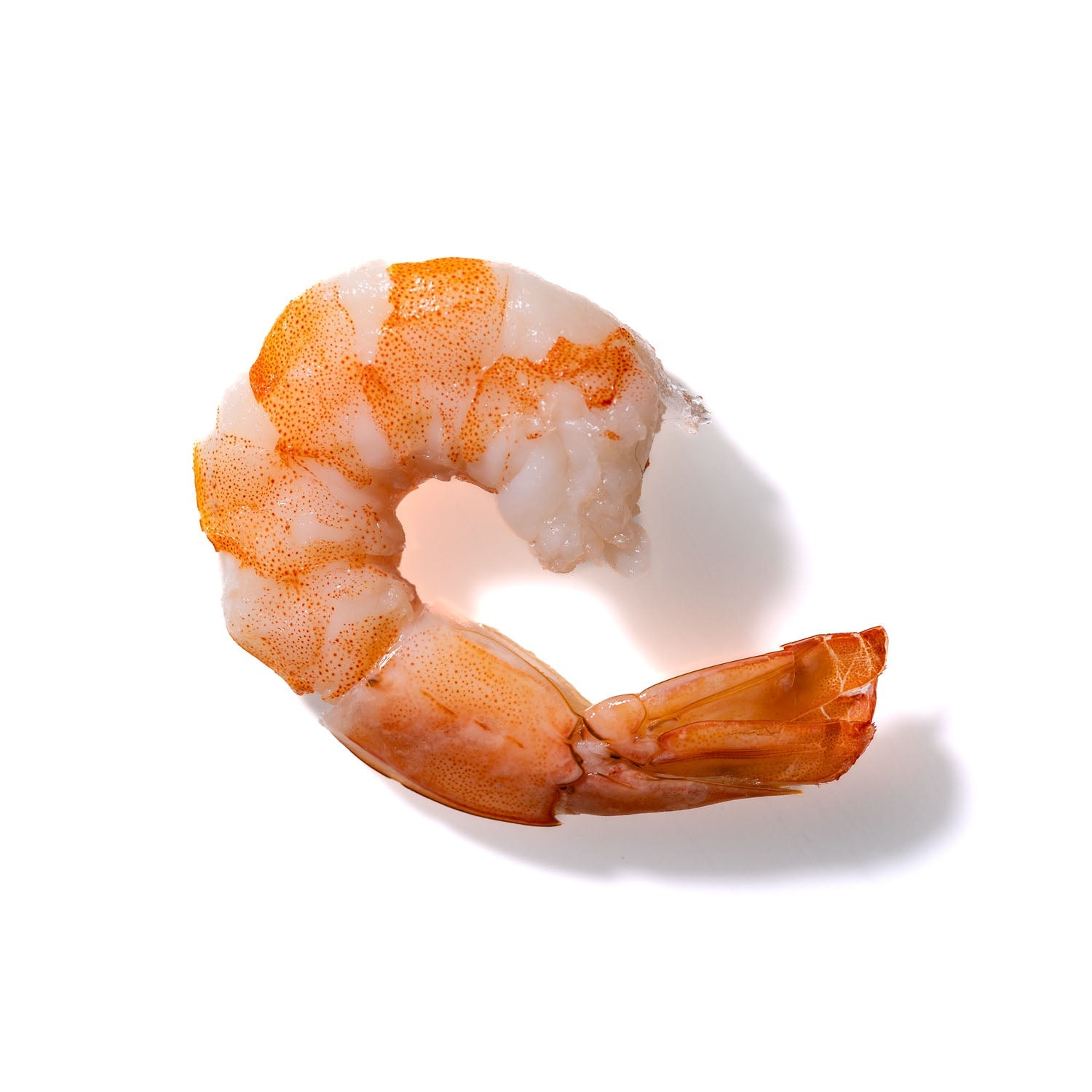 Shrimp No. 165