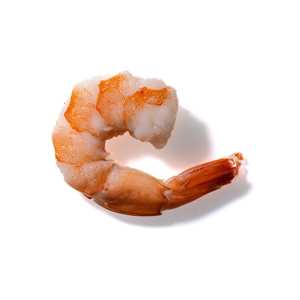 Shrimp No. 166