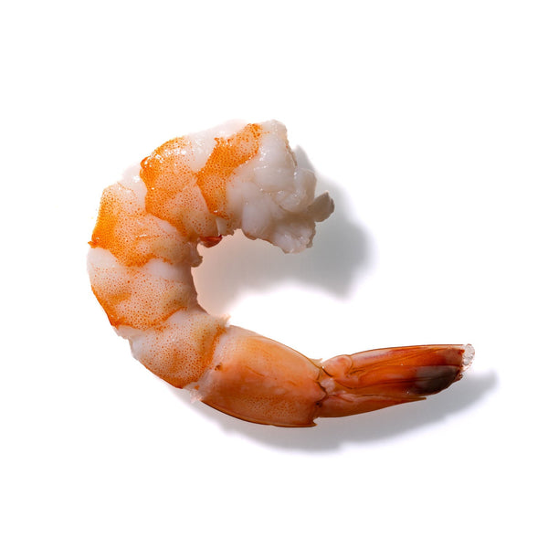 Shrimp No. 167