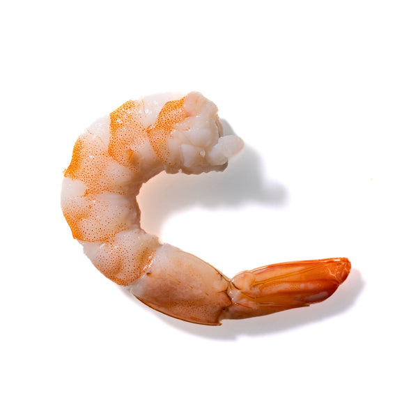 Shrimp No. 168