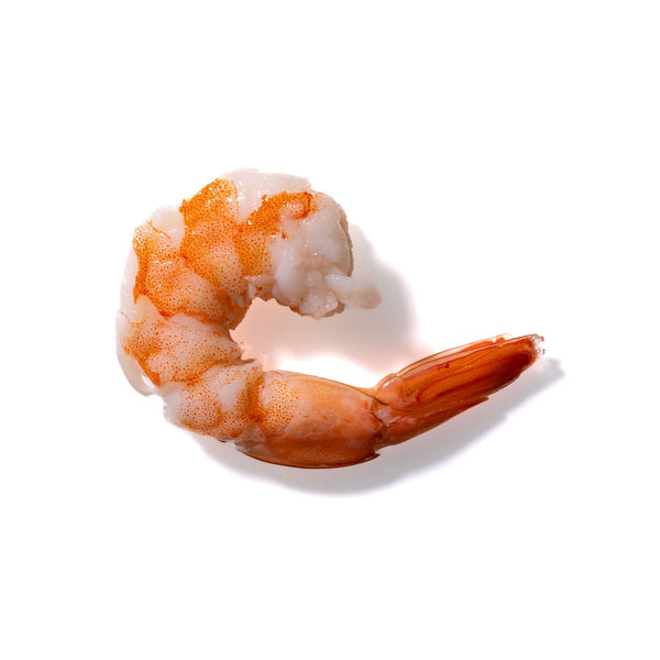 Shrimp No. 169