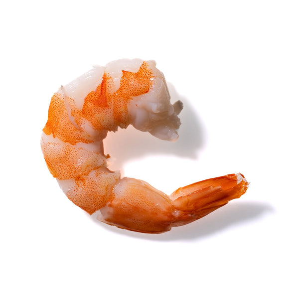 Shrimp No. 170