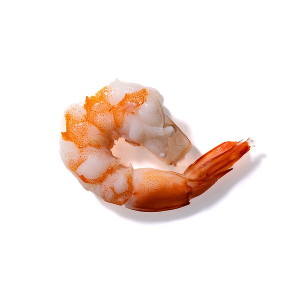 Shrimp No. 171