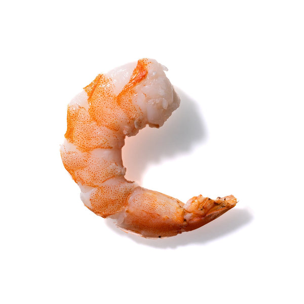 Shrimp No. 173