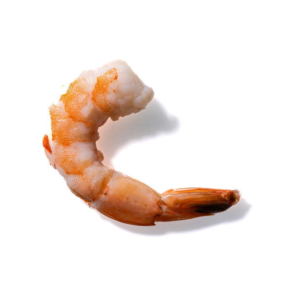 Shrimp No. 175