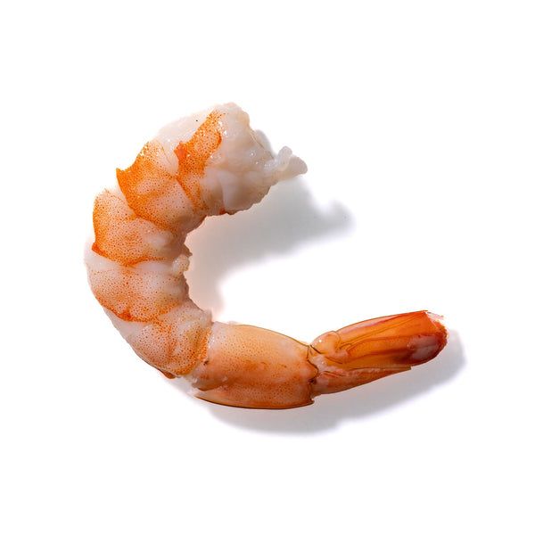 Shrimp No. 177