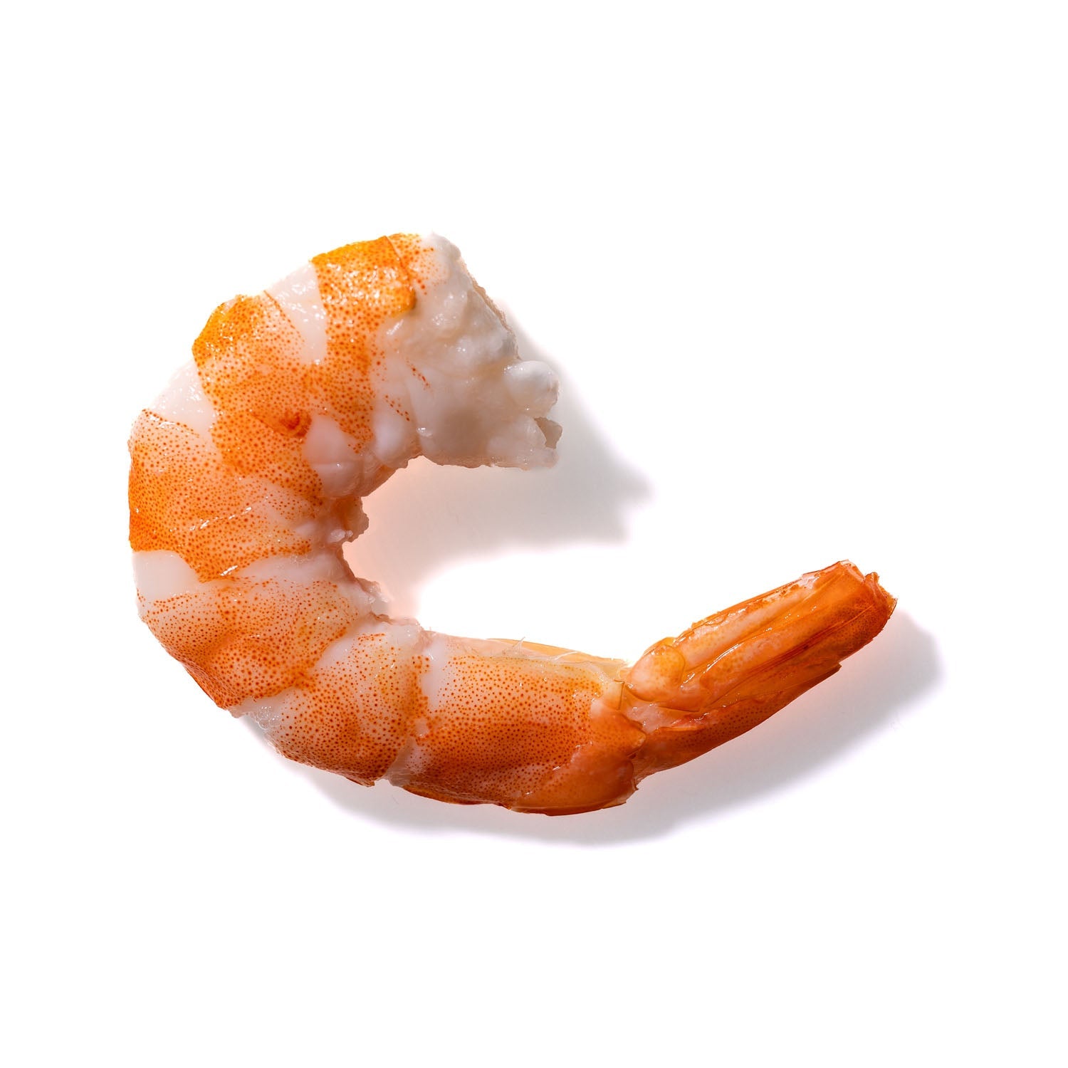 Shrimp No. 180