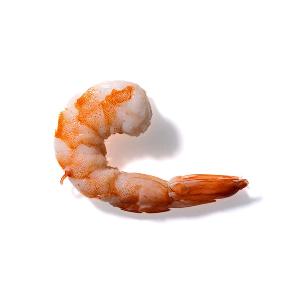 Shrimp No. 181