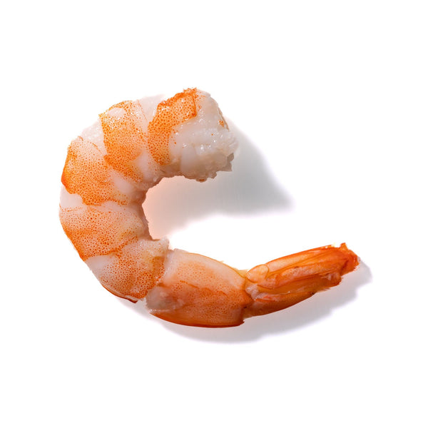 Shrimp No. 182