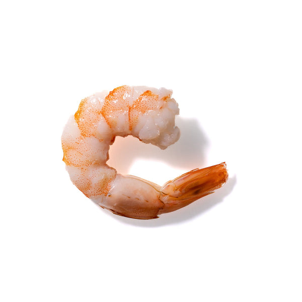 Shrimp No. 184