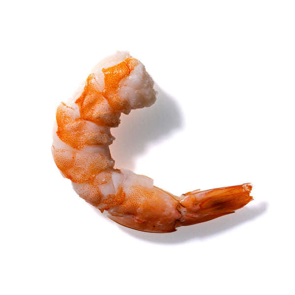 Shrimp No. 185