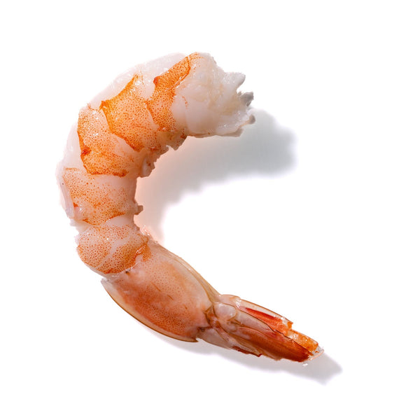 Shrimp No. 186