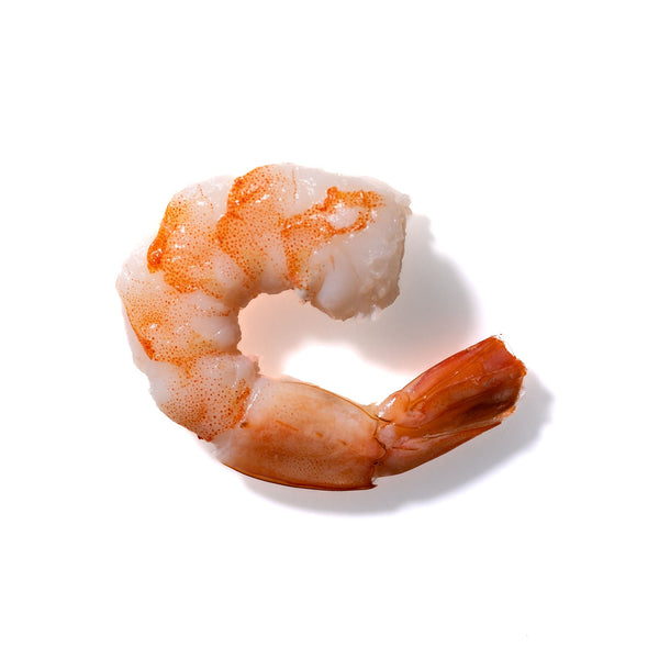 Shrimp No. 188