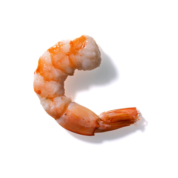 Shrimp No. 189