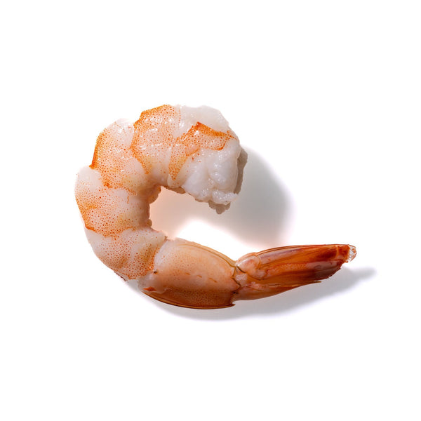 Shrimp No. 191