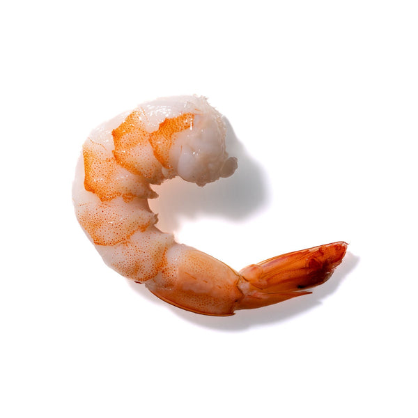 Shrimp No. 192