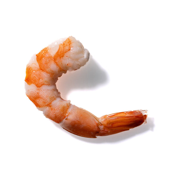 Shrimp No. 195