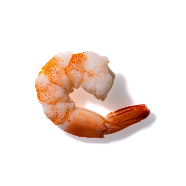 Shrimp No. 196