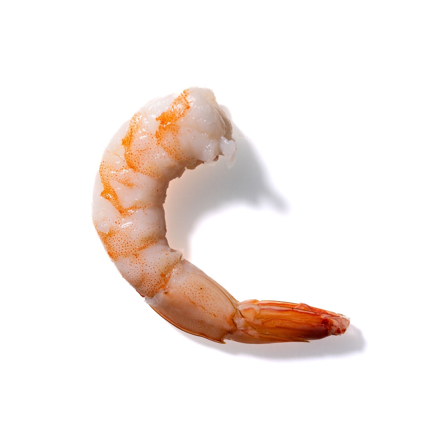 Shrimp No. 199