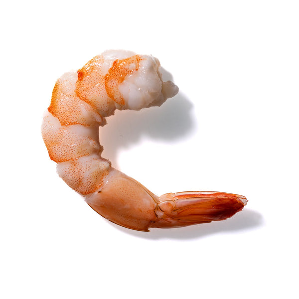 Shrimp No. 203