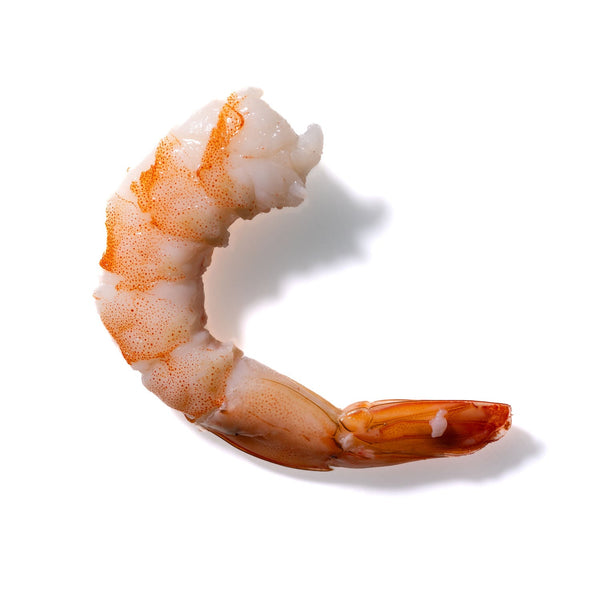 Shrimp No. 207