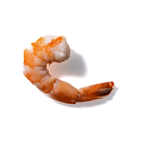 Shrimp No. 208