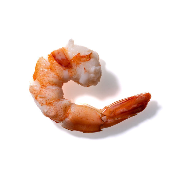 Shrimp No. 211