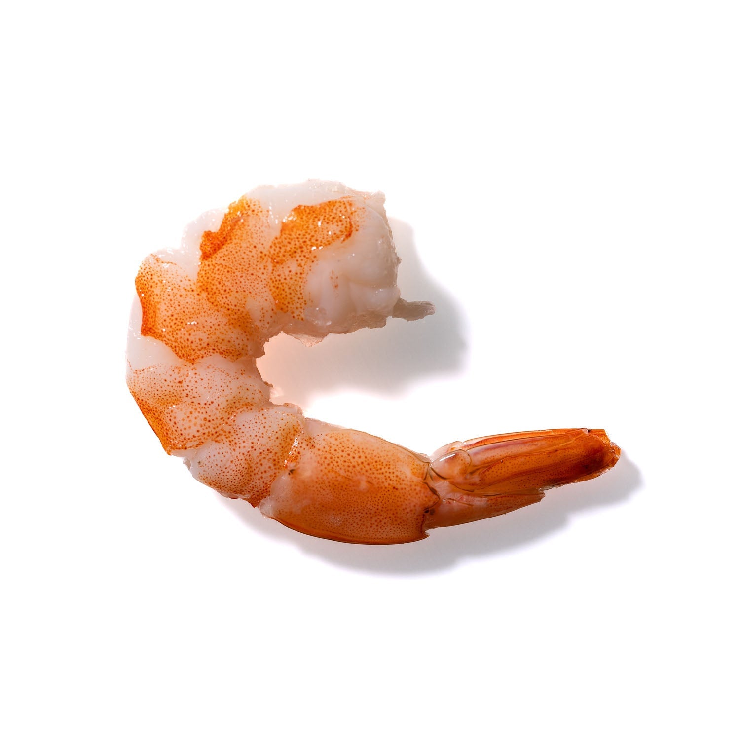 Shrimp No. 214