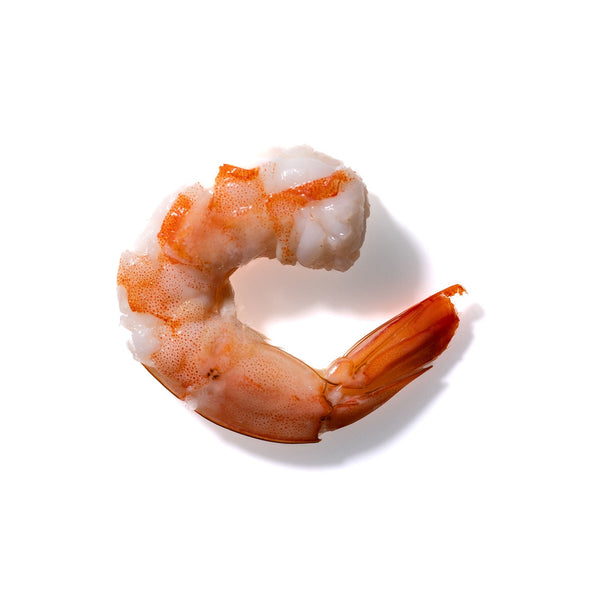 Shrimp No. 216