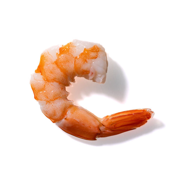 Shrimp No. 219