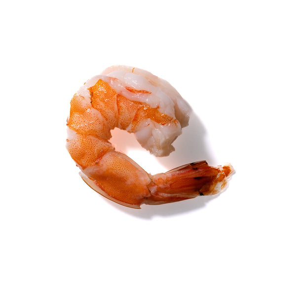 Shrimp No. 221