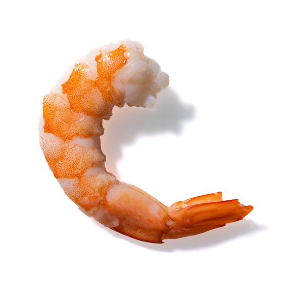 Shrimp No. 223