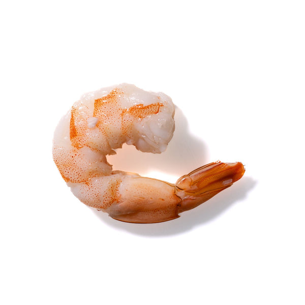 Shrimp No. 224