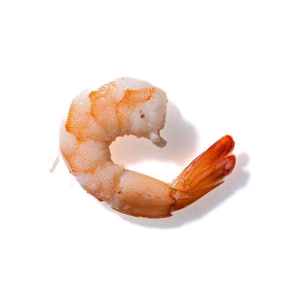 Shrimp No. 228