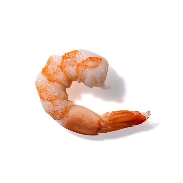 Shrimp No. 229