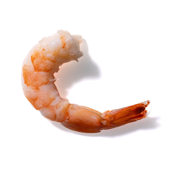 Shrimp No. 230