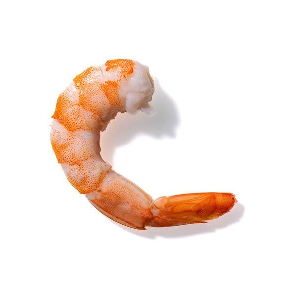 Shrimp No. 233