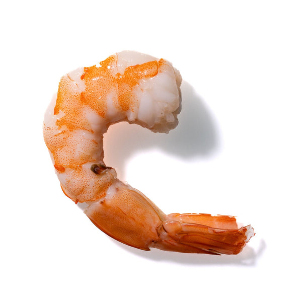 Shrimp No. 236