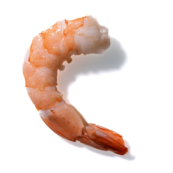 Shrimp No. 237