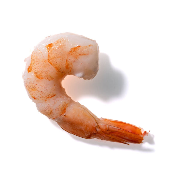 Shrimp No. 243