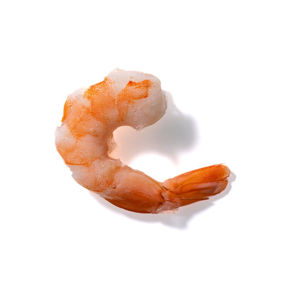 Shrimp No. 247