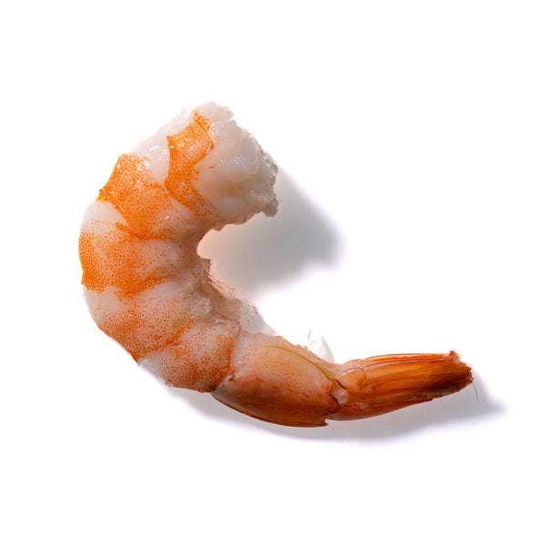 Shrimp No. 249