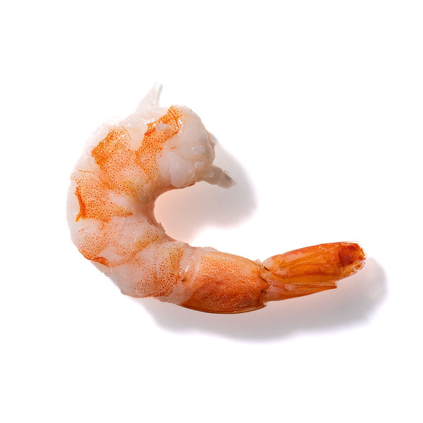 Shrimp No. 252