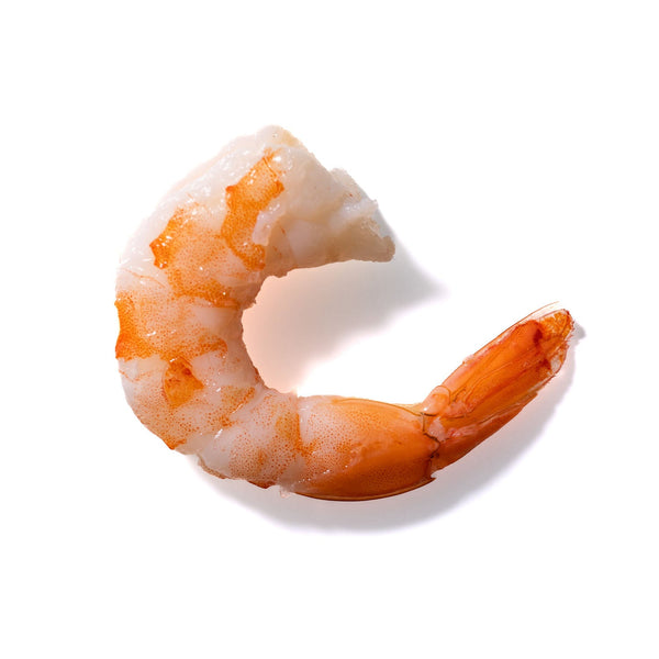 Shrimp No. 254