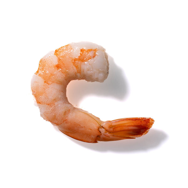 Shrimp No. 255