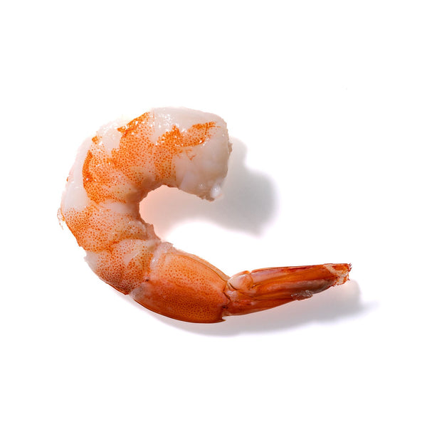 Shrimp No. 256