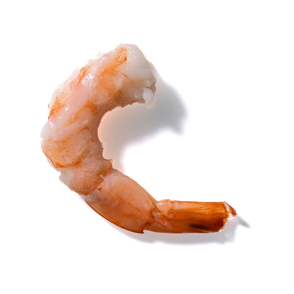 Shrimp No. 258