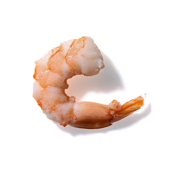 Shrimp No. 260